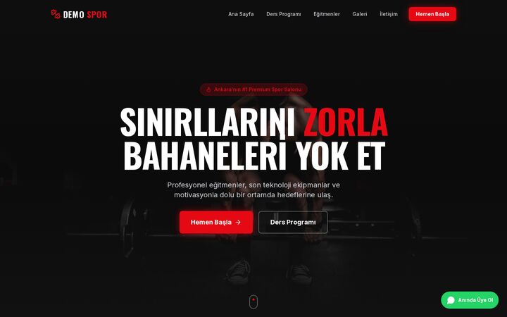Fitness & Gym web sitesi ekran görüntüsü